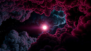 ƻw
