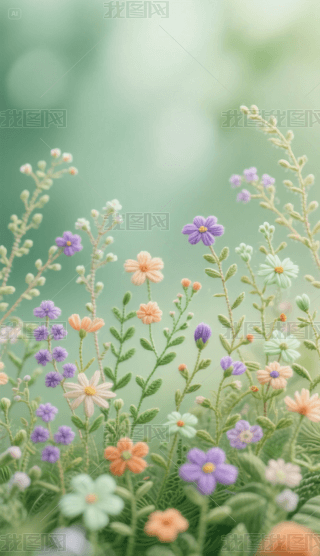 GɫµĴC֙C(j)ڼ (1)