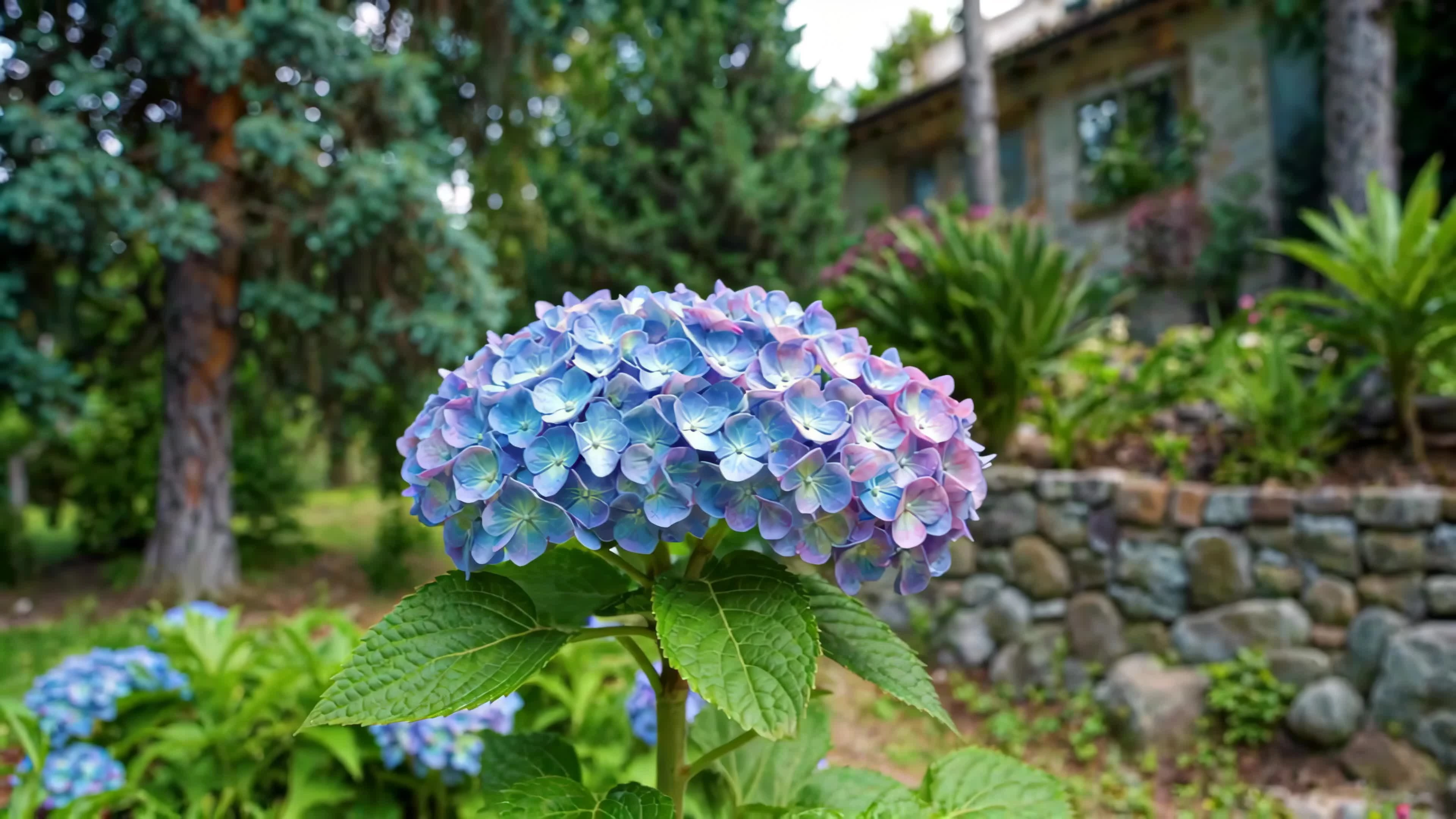 ҕl