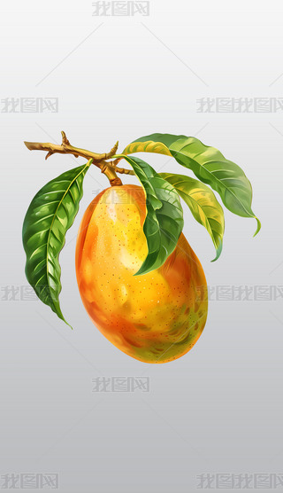 ژ(sh)֦ϵĳâ͸⓸pngDƬز