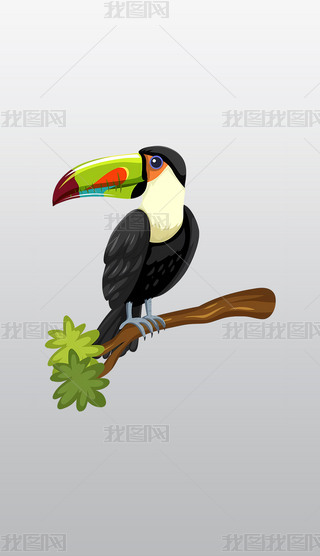 ֦ϵĲɫB͸⓸pngDƬز