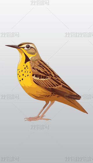 زаcSɫСB宋͸⓸pngDƬز