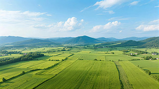 LDƬ