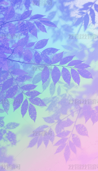 {ϝu׃ˮ͸B~֙Cڼ (2)