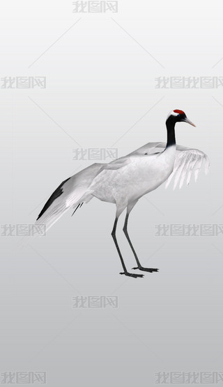 QҹQiQڹQ͸⓸pngDƬز