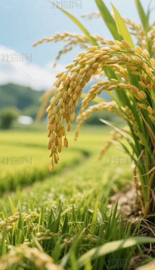 ȵﵾl(xing)@֙C(j)ڼ