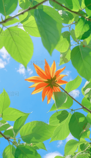 ꖹ;G~֙Cڼ