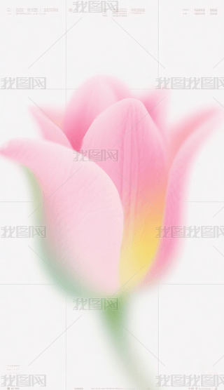 u׃ɫK仨،֙Cڼ (10)