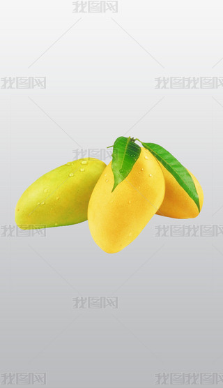 ֭âˮʳƷ͸⓸pngDƬز