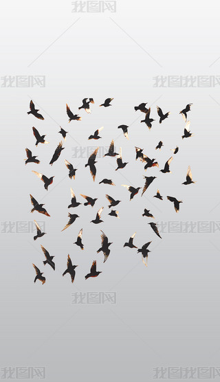 һȺwеСB͸⓸pngDƬز