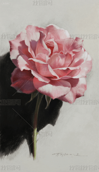 һ京ŵķɫ¼֙Cڼ (2)