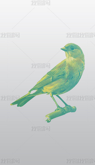 Ϣژ֦ϵĲɫСB宋͸⓸pngDƬز