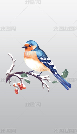 Ϣژ֦ϵ{ɫͳɫСB͸⓸pngز