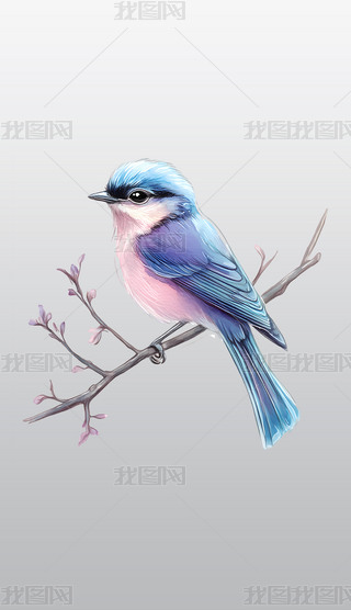 {ɫͷɫСB宋͸⓸pngDƬز