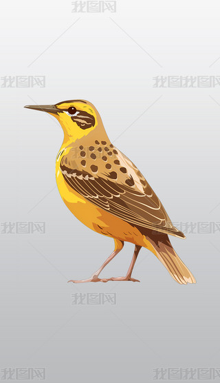 ˇg(sh)L(fng)SɫСB宋͸⓸pngDƬز