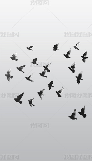 wСBļӰ͸⓸pngDƬز