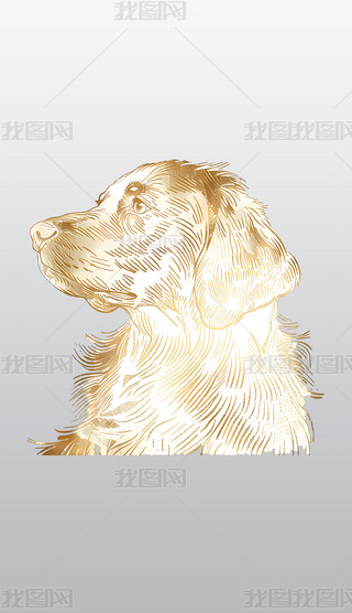 ëȮ݆宋(hu)͸⓸pngDƬز