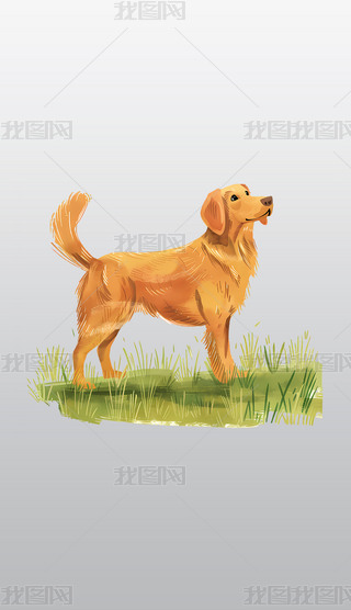 ݵϵĽëȮDƬ͸⓸pngDƬز