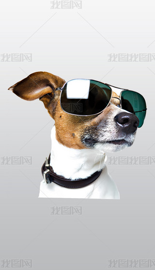 īRĿṷDƬ͸⓸pngDƬز