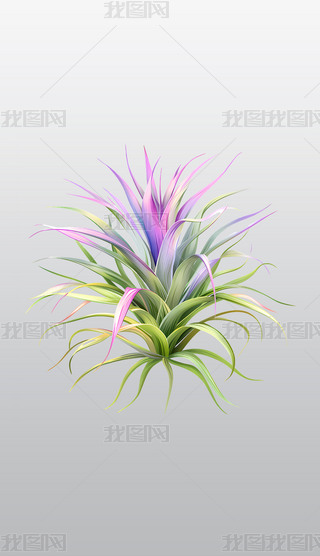 ɫrGFm՚P宋͸⓸pngDƬز