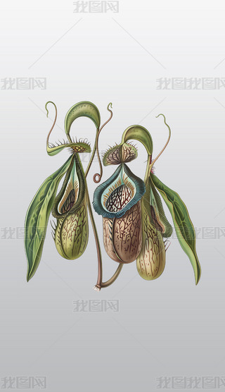 Ꭷi\ֲDV͸⓸pngDƬز