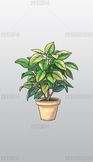 ȻL(fng)ԾGֲ͸⓸pngDƬز