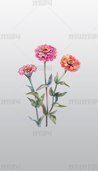 ۼtctɫվո͸⓸pngDƬز