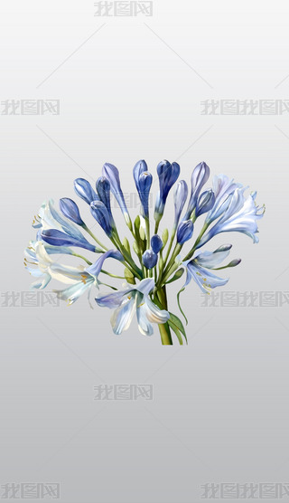 {(ln)ɫ͸⓸pngDƬز