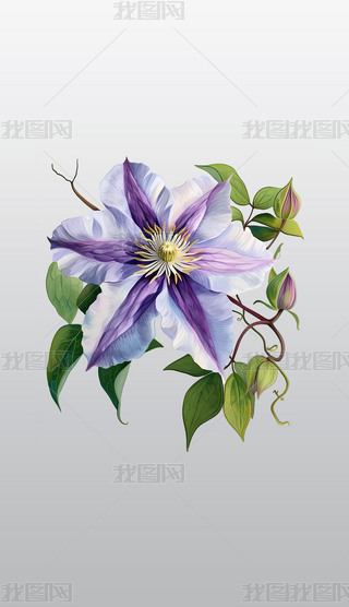 ɫFɏܲ宋͸⓸pngDƬز