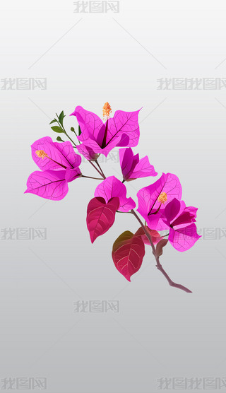 Ȼеɫ÷͸⓸pngDƬز