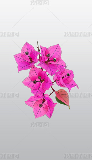 ۼt÷c֦͸⓸pngDƬز