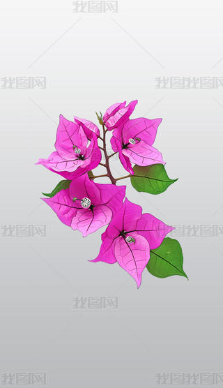 kۼt÷`Ÿ͸⓸pngDƬز