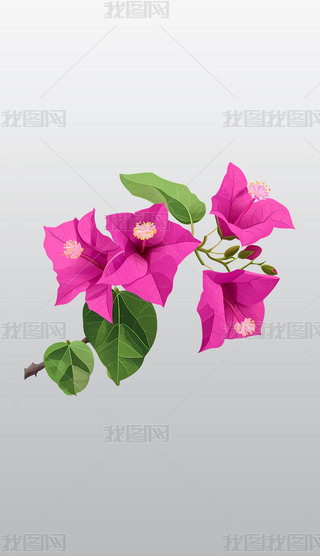 ۼt÷c~͸⓸pngDƬز