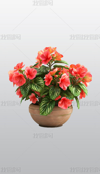 ԼtԷïG~͸⓸pngDƬز