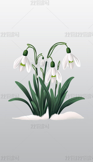 `ŵѩɏ͸⓸pngDƬز