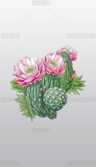 `ŷۼtƸ͸⓸pngDƬز