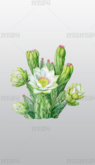 k׷ۻƸ͸⓸pngDƬز