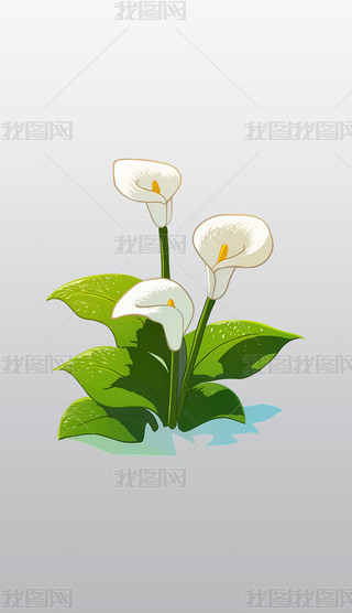 ɫRɏ宋͸⓸pngDƬز