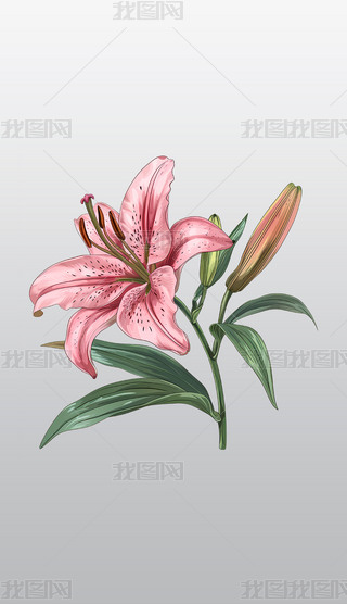 ķۼtٺϻ͸⓸pngDƬز