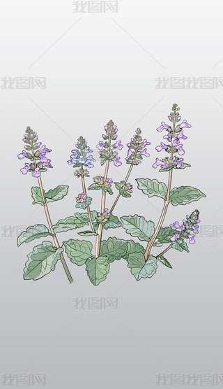 ɫ؈ֲ宋͸⓸pngDƬز