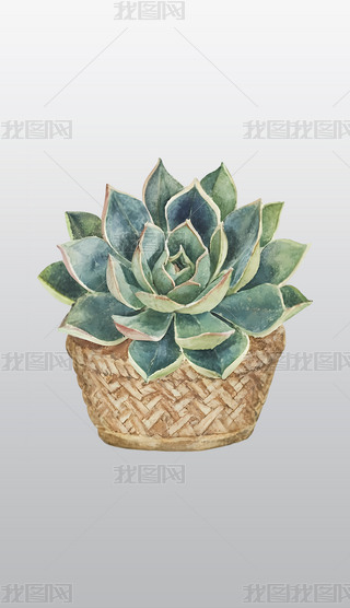 |(zh)㾎@еĶֲ͸⓸pngDƬز