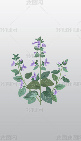 βݻˇg(sh)͸⓸pngDƬز