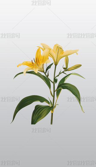 G~ӳrµSɫٺϻ͸⓸pngDƬز