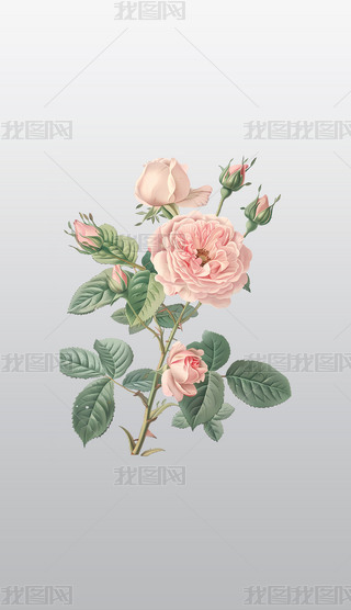 ɫõ廨宋͸⓸pngDƬز