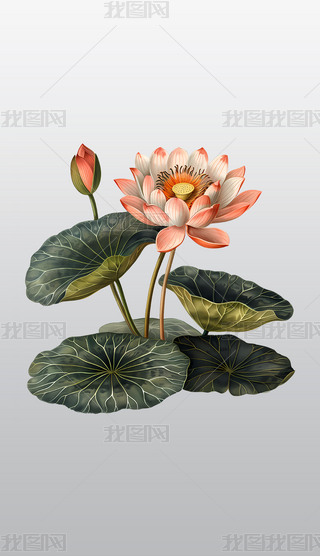 ķۼtɏcG~͸⓸pngDƬز