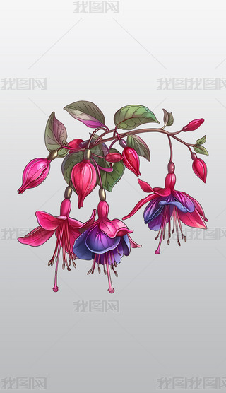 ϼtɫ宋͸⓸pngDƬز