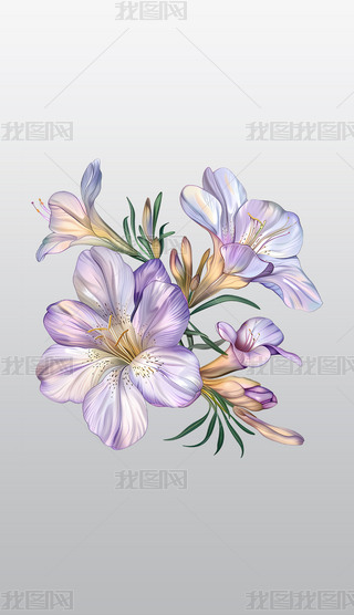 kѩmܲ宋͸⓸pngDƬز