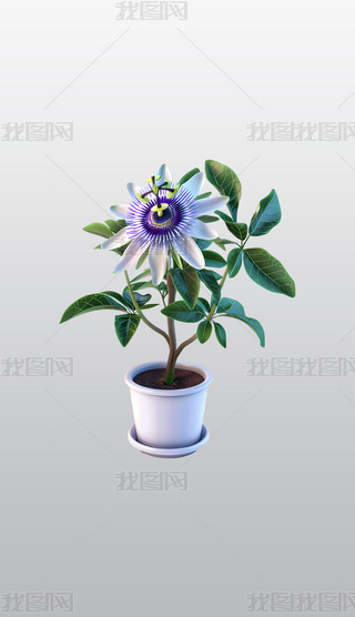 մɻо`ŵɏ͸⓸pngDƬز