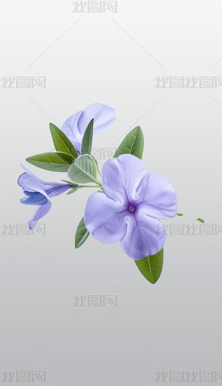 ɐ۵ϻLcG~ӳȤ͸⓸pngز