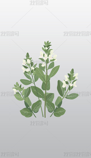 GⰻȻtֲ֮c(din)Y׻͸pngز